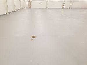 urethane flooring after